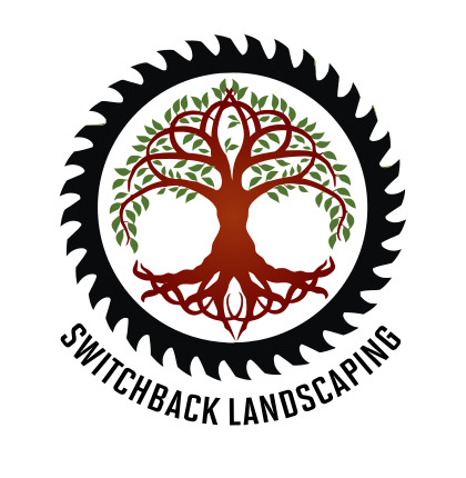 Efficient Brush Clearing Services By Switchback Landscaping